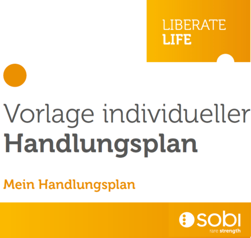 individueller Handlungsplan