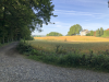 Bild des Ravensbosch Waldes