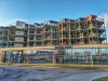 Bild des Dock Inn Container-Hostels