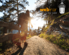 Webinar_Bewegung